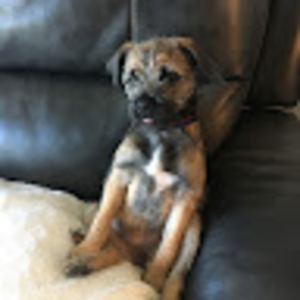 Meet your Posher, Julie